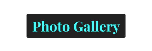 Photo Gallery